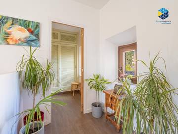 Ferienhaus in Selva, Mallorca Inselmitte für 6 