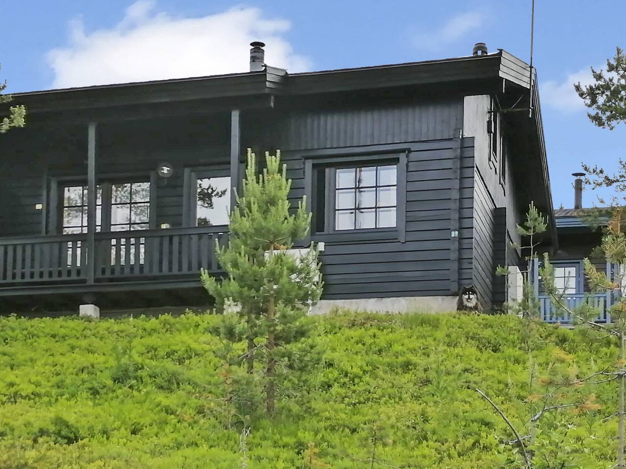 Casa vacanza a Ruka a partire da 120€ a notte