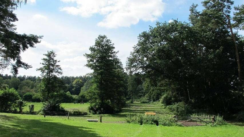 Bungalow für 2 Personen, mit Terrasse, mit Haustier am Plauer See - 3