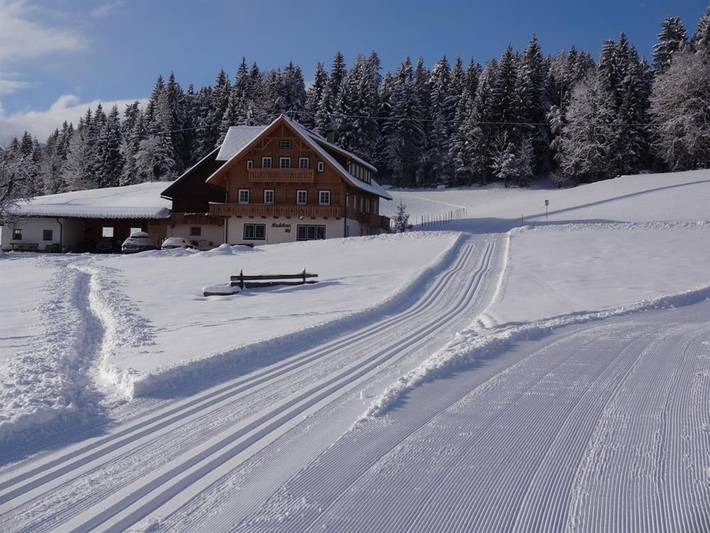 Bauernhof für 2 Personen, mit Garten in Ramsau am Dachstein - 3