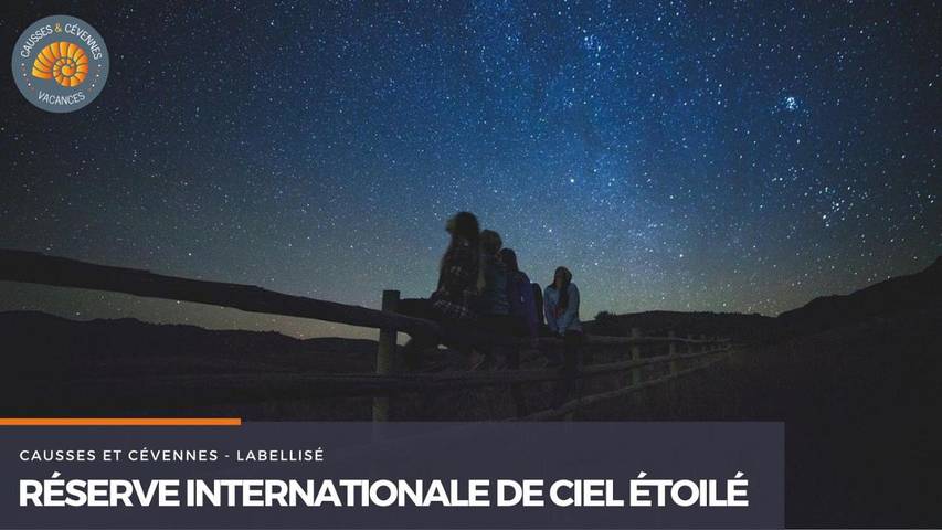 Location de vacances pour 14 personnes, avec jardin ainsi que piscine et vue à Gabriac - 4