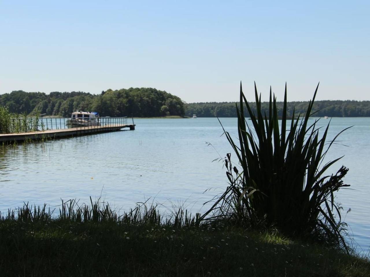 Gemütliches Safarizelt mit Grill und Garten in Lychensee, Lychen
