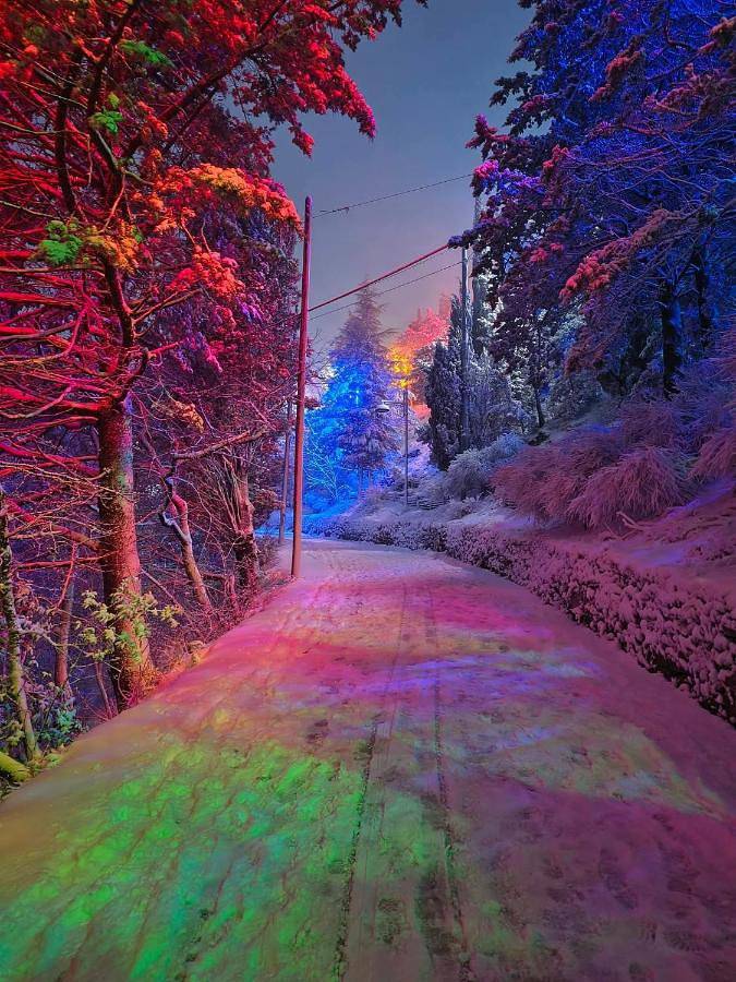 Chambre d’hôte pour 4 personnes, avec jardin et vue à Gubbio - 2