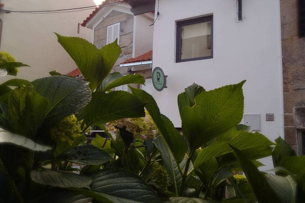 Haus Luís de Camões | Bed & Breakfast in Santar e Moreira, Viseu Distrikt