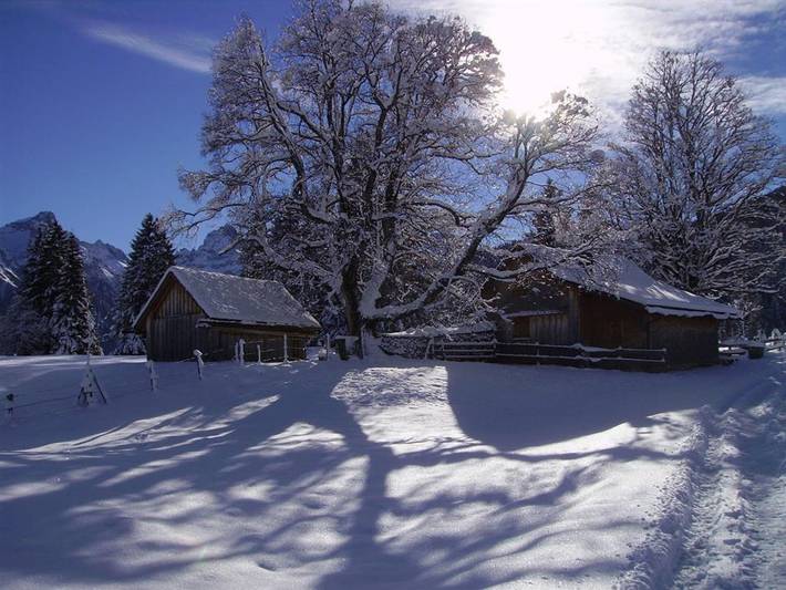 Ganze Ferienwohnung, Birkenhof - Neier-Plank - Appartmenthaus in Bürserberg, Brandnertal