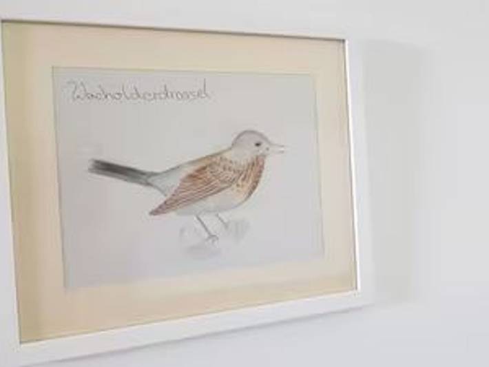 Ferienpark für 4 Personen, mit Pool und Terrasse sowie Garten, mit Haustier in Mecklenburg-Vorpommern - 2