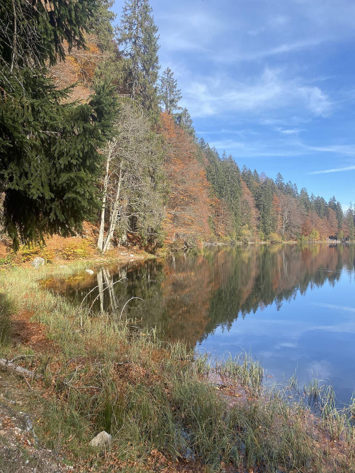 Ganze Wohnung, Ferienwohnung Lindenhof" mit Bergblick, Gemeinschaftsgarten und Wlan in Suedlicher Schwarzwald, Lenzkirch