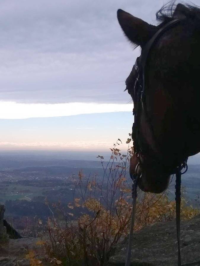 Ferienhaus für 4 Personen, mit Garten, mit Haustier im Bayerischer Wald - 4