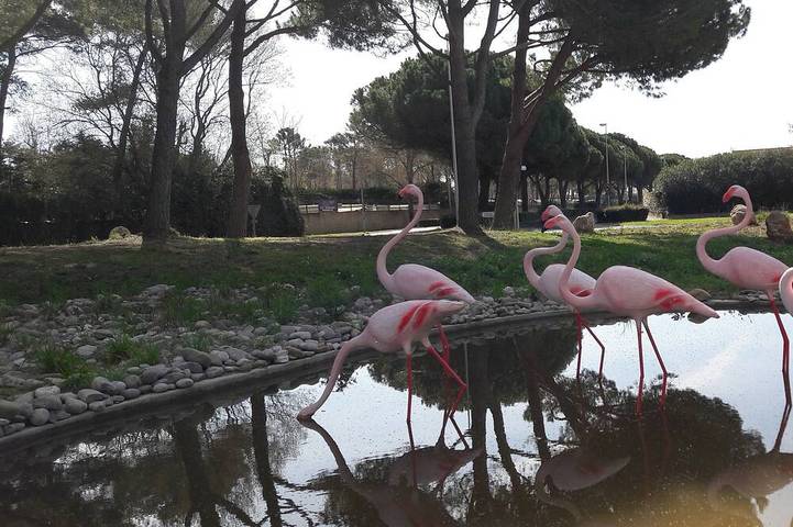 Maison de vacances pour 5 personnes, avec piscine dans Portiragnes Plage