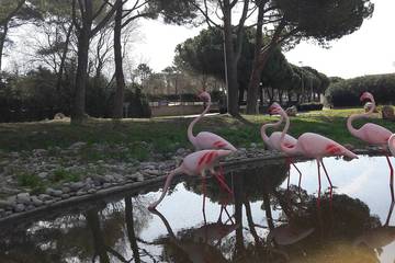 Location de vacances pour 5 personnes, avec piscine dans Portiragnes Plage