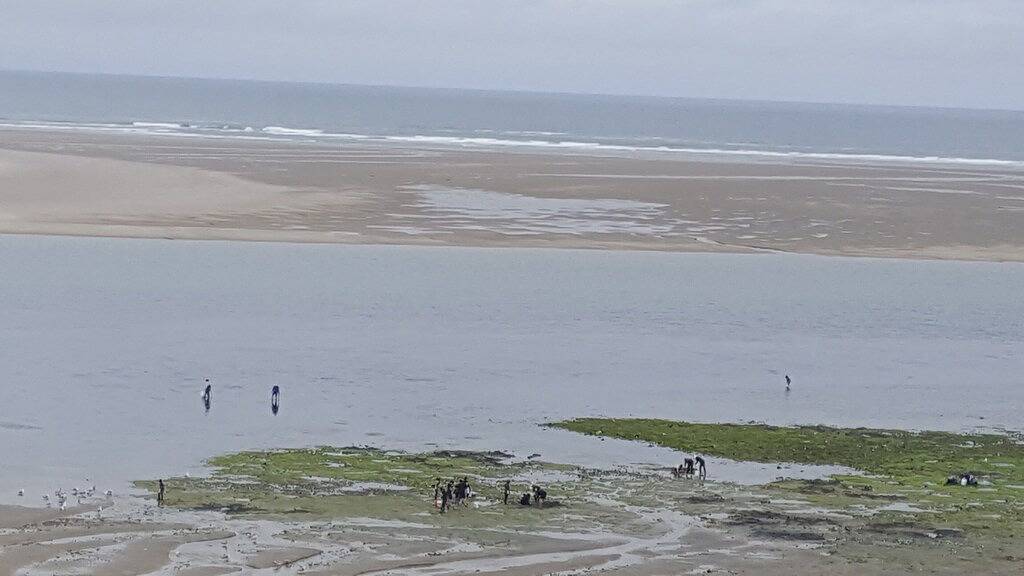 The Blue Rose Cottage - herrliche Aussicht - direkter Zugang zum Strand in Netarts, Tillamook County