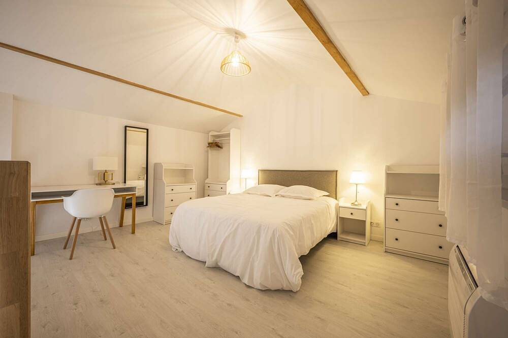 Entire apartment, Apartment Comfortable in the centre of Pau: parking, Ac... in Pau, Béarn