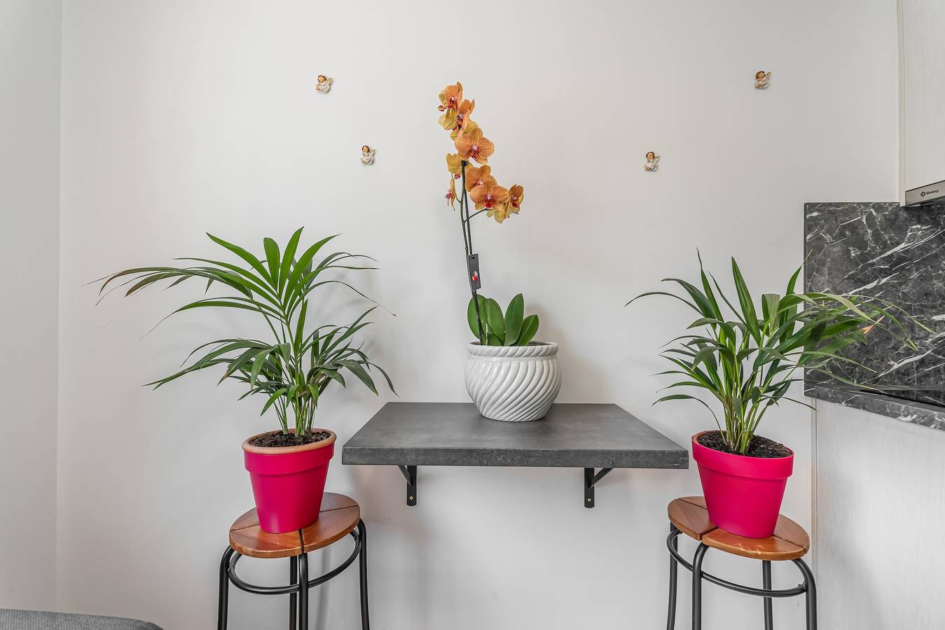 Entire apartment, Apartment 'Estudio Rebe' with Wi-Fi in Marina (Canary Islands), Tazacorte