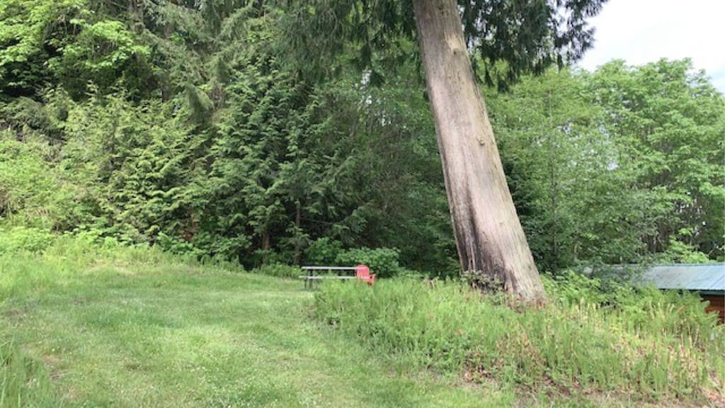 Ocean View Tent Site T3 in Clallam County