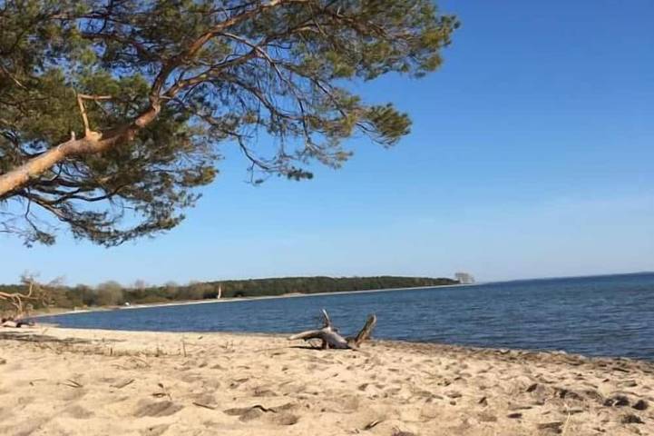 Ferienhaus für 6 Personen, mit Garten und Terrasse, mit Haustier in Garz/Rügen - 4
