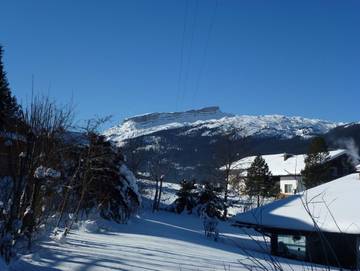 Chalet für 8 Personen in Riezlern, Mittelberg, Bild 1