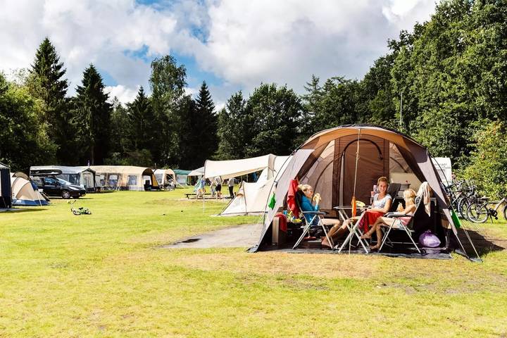 Camping für 4 Personen in Friesland