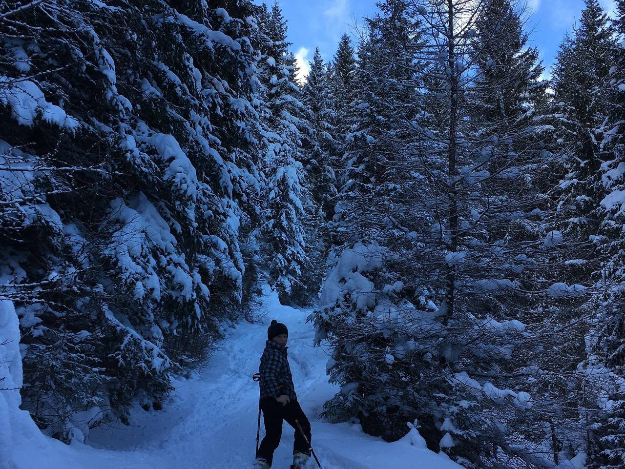 Fw Aussicht Fam Sigl - Greim (Zusatzzimmer) in St. Peter am Kammersberg, Westliche Obersteiermark
