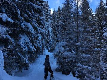 Zimmer für 2 Personen in St. Peter am Kammersberg, Steiermark, Bild 2