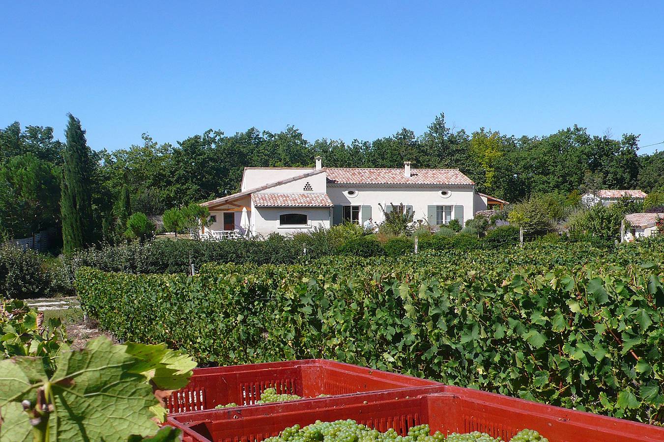 Gite  Les Cerisiers in Mirabel-et-Blacons, Région de Die