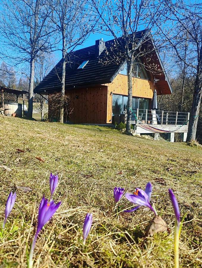 Przystanek Gorce in Nowy Targ, Karpaty (Polska)