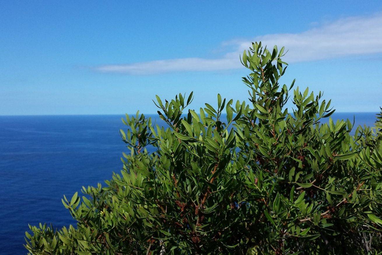 Appartamento vacanze a Alghero a partire da 142€ a notte