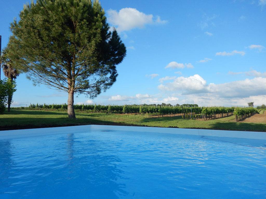 Gîte de Mont Saint-Fort in Sauveterre-de-Guyenne, Région de Langon