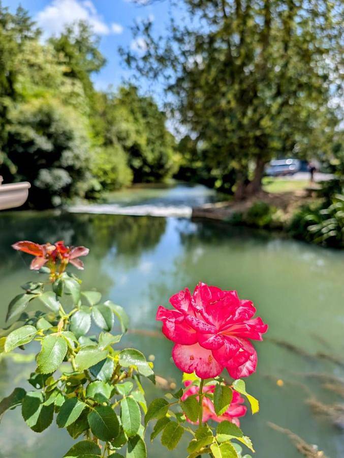 Maison d’hôte pour 4 personnes, avec jardin à Loches - 3