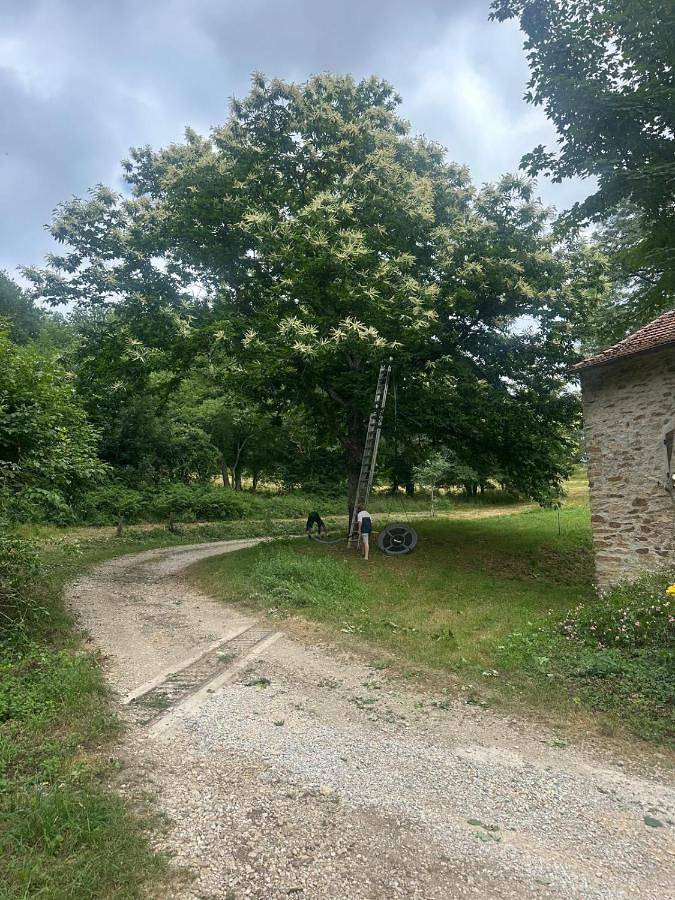 Tente pour 4 personnes, avec jardin, animaux acceptés dans le Tarn - 3