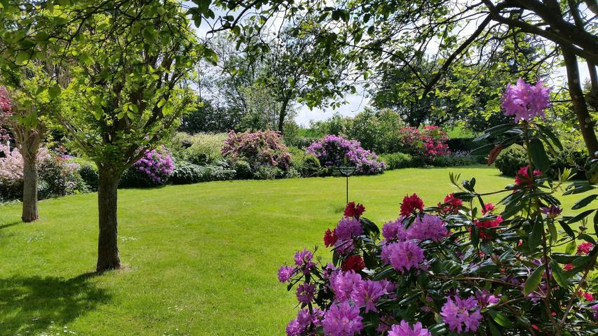 Ferienhaus für 5 Personen, mit Garten in Angeln Halbinsel - 4