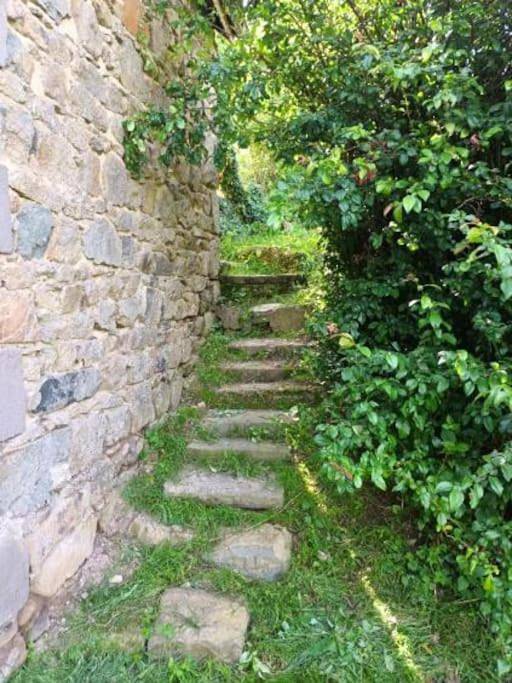 Location de vacances pour 8 personnes, avec jardin et vue dans Saint-Angel (Puy-de-Dôme) - 4