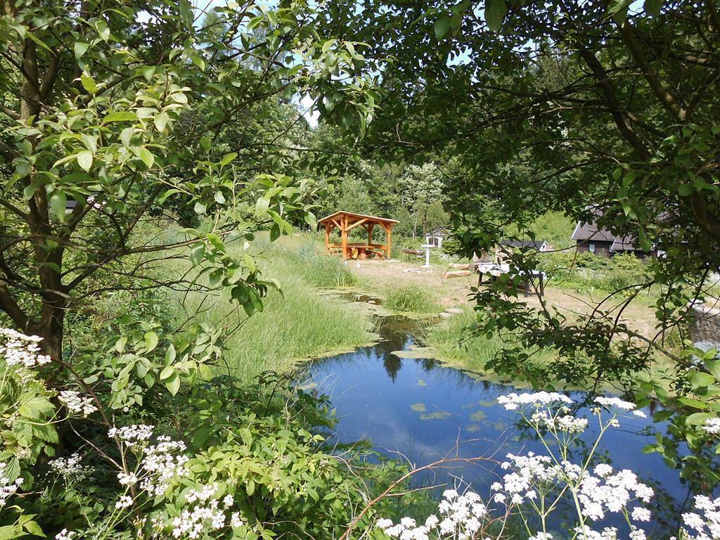 Die Oberlochmühle Pension in Deutschneudorf, Chemnitz (region)