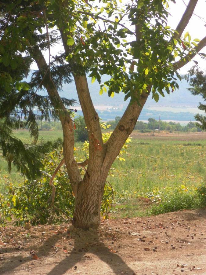 Gîte pour 6 personnes, avec jardin et vue à Lurs - 3