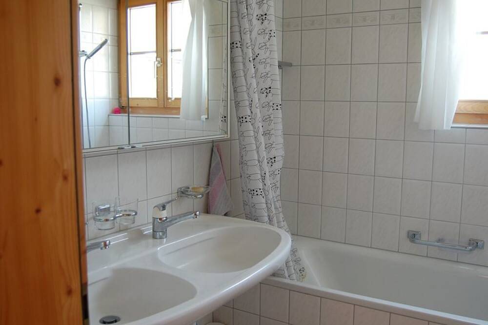 Ganze Wohnung, Londadusa Og, (Rueras/Sedrun). in Sedrun, Tujetsch