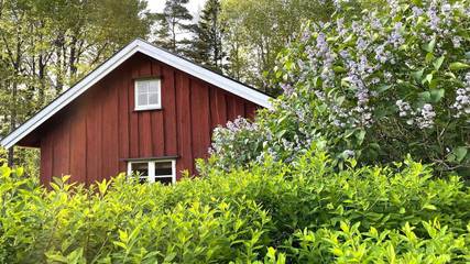 Ferienhaus für 3 Personen, mit Haustier in Dalsland