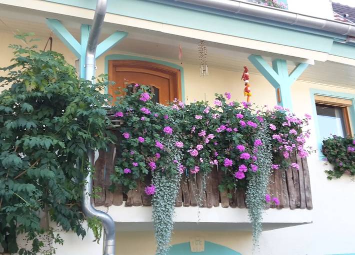 Ganze Wohnung, Apartment '1' mit Balkon und Wlan in Herbolzheim, Südschwarzwald