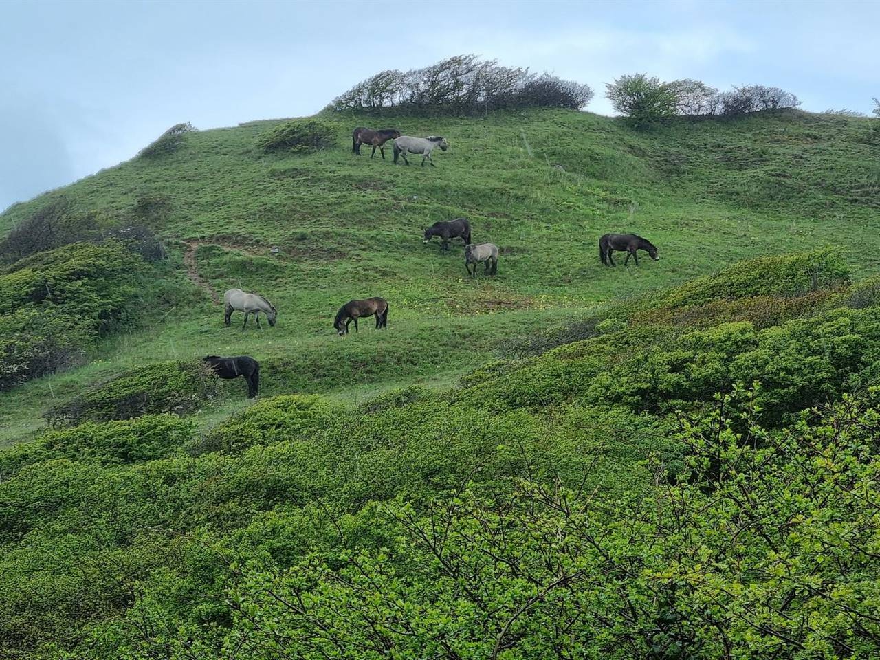 "Miona" - 725m from the sea in Kalundborg, Røsnæs