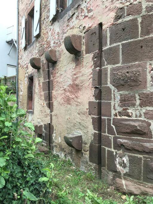 Location de vacances pour 8 personnes, avec jacuzzi ainsi que terrasse et piscine à Saverne - 4