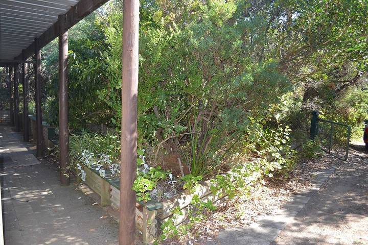 Holiday home for 6 people, with garden, with pets in Venus Bay