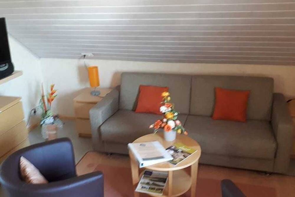 Geheel appartement, Appartement 1, 55m², Dg, 1 slaapkamer, 1 woon / slaapgedeelte Max. 5 personen - Huis Hanne in Europa-Park, Rust