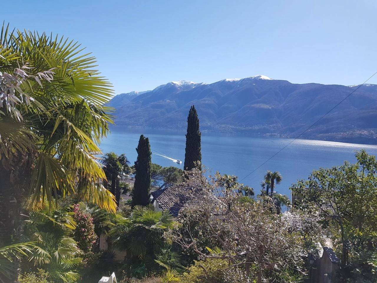 Residence Venus Garden in Porta (Brissago), Brissago