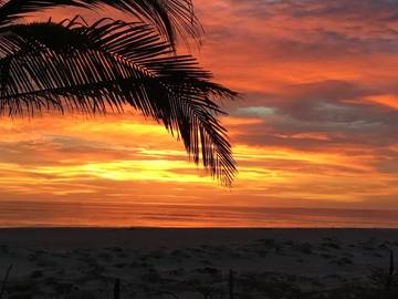Apartment for 4 Guests in Naples Beach, Naples (FL), Picture 1