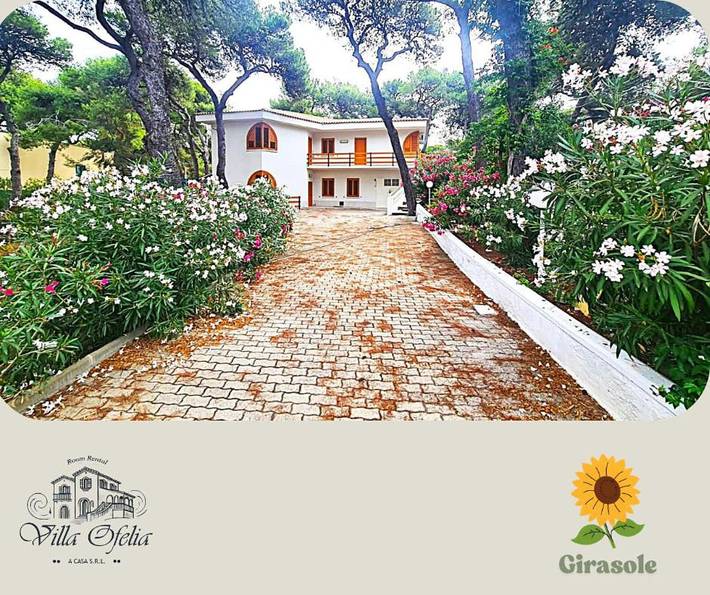 Gîte pour 4 personnes, avec vue ainsi que jardin et terrasse à Palagiano - 2