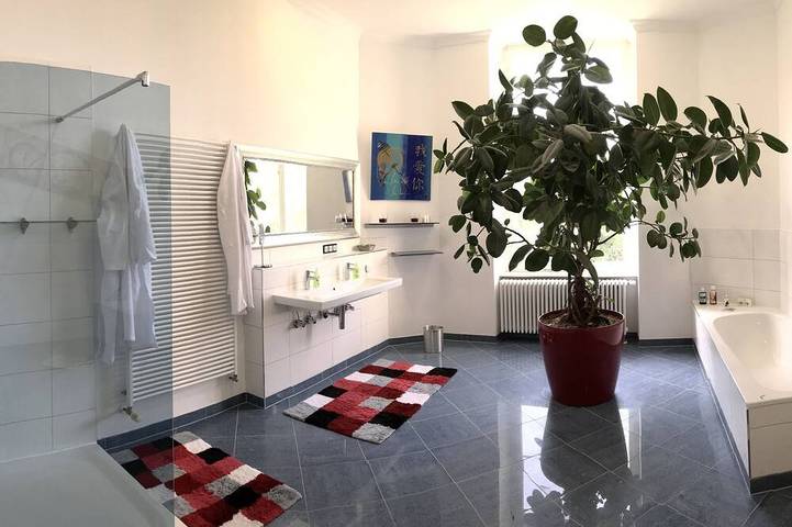 Schloss für 22 Personen, mit Whirlpool und Garten sowie Sauna in Friedland - 3