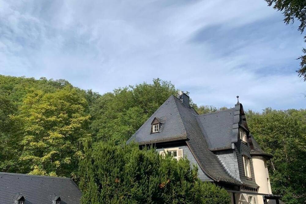 Ganze Wohnung, Landsitz Kammerburg :Apartment mit Gartenblick in Lorch, Rheingau-Taunus-Kreis