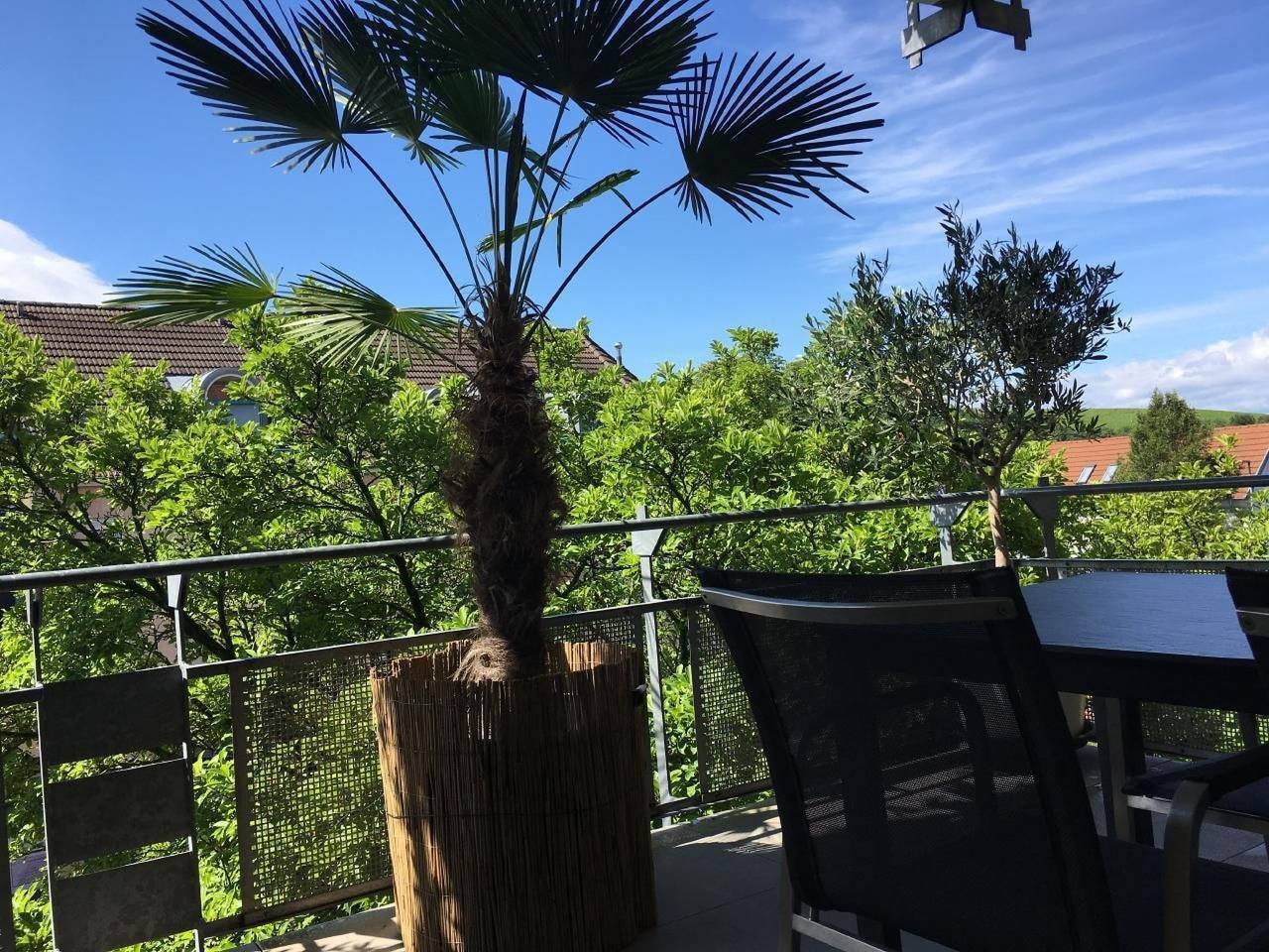 Ganze Wohnung, Stadtferienwohnung in Müllheim, Südschwarzwald