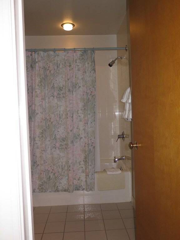 Ganze Wohnung, Du verdienst alles! Tolle Aussichten, Gästekarten, Fahrstuhl und Shuttleservice! in Wintergreen, Nelson County