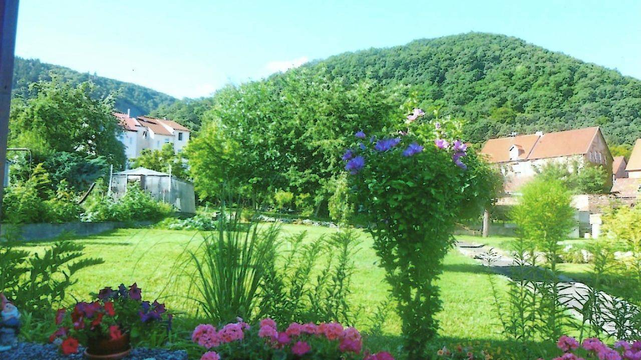 Apartamento vacacional entero, Ferienwohnung für 2 Personen (30 m²) in Thale in Thale, Harzvorland
