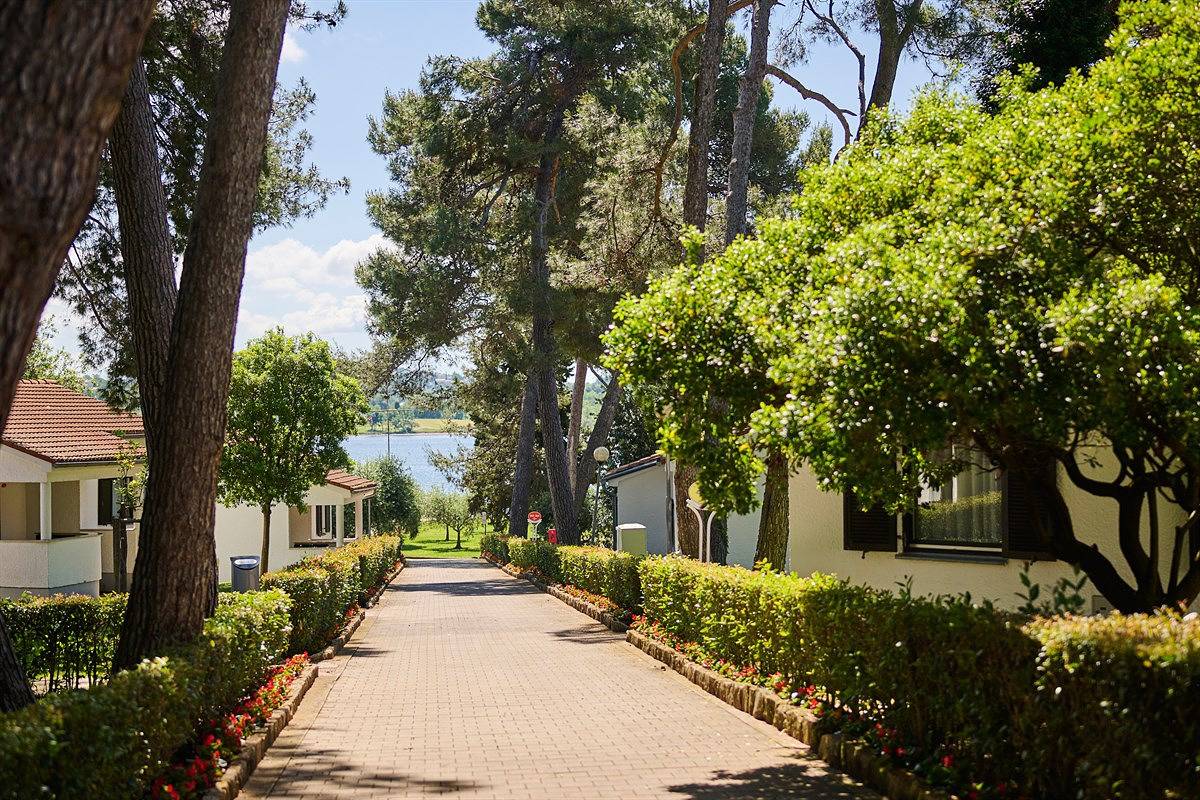 Ganze Wohnung, Apartments Galijot Wohnung Ca2Tp1 für 3 Personen in Poreč, Grad Poreč