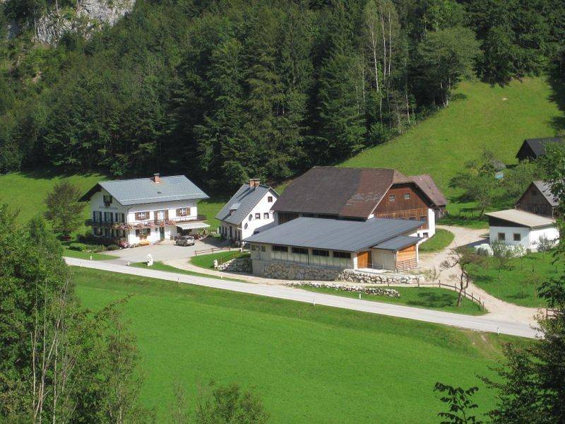 Ferienhaus Mendlingbauer - Ferienhaus für bis zu 17 Personen in Göstling an der Ybbs, Mostviertel Region
